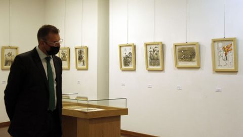 Inauguración exposición No ronsel do Camiño