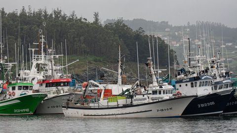 Imagen de archivo de pesqueros amarrados en el puerto de Cedeira