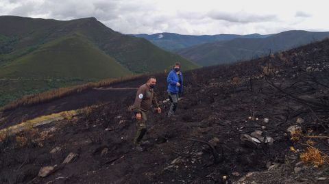 Técnicos de Medio Rural revisan el terreno quemado por el incendio del fin de semana pasado en O Courel