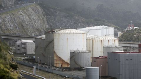 La superficie solicitada es de 21.000 metros cuadrados
