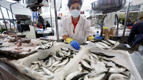 Sardinas de «xeiteiros» que se vendían ayer en la plaza de abastos de Vilagarcía