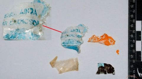 Los plásticos que expulsó la tortuga tras comerlos pensando que era comida