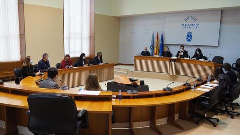 Reunión esta mañana de la Comisión de Reactivación del Parlamento