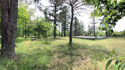 Vista del área recreativa cercana al embalse de Guitiriz, que pertenece a la comunidad de montes de Lagostelle y en donde se talarán varios pinos