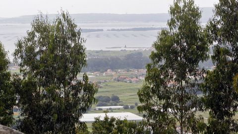 Mirador San Cibrán en Meaño