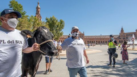 Un par de ganaderos andaluces durante la manifestación de ayer