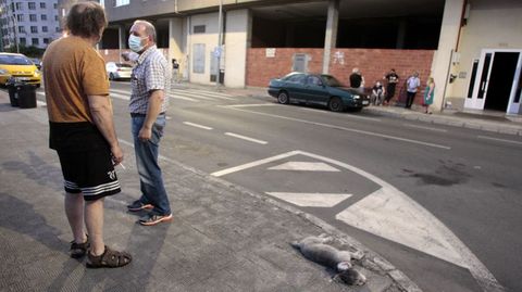 Dos vecinos comentan lo sucedido cerca del paso de cebra y junto al cuerpo del perro muerto en el atropello
