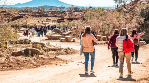 Camino entre los poblados y los teatros del parque Puy du Fou