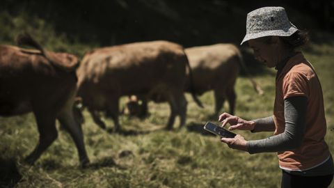 María Páez, ganadera de Viana do Bolo, chequea su teléfono móvil mientras vigila al ganado