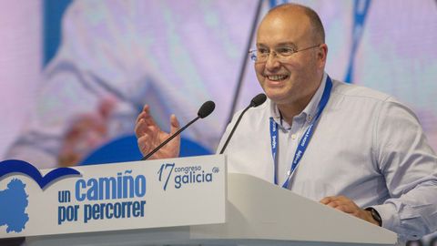 Miguel Tellado, vicesecretario de Organizacin del PP