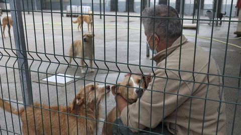 Animales en la protectora de animales Os Palleiros