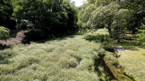 Imagen del río, con caudal bajo cerca de la carballeira, el año pasado