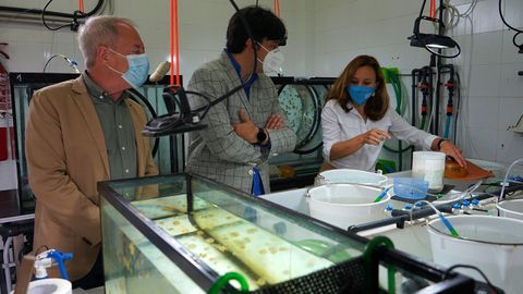 El concejal de Medio Ambiente y Movilidad del Ayuntamiento de Gijón, Aurelio Martín; Borja Sánchez, consejero de Ciencia; y Susana Acle, responsable de investigación del Acuario