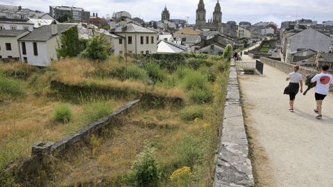 Bajo la maleza y la hierba está el yacimiento excavado en el 2008