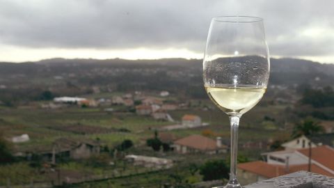Copa de vino Albariño.