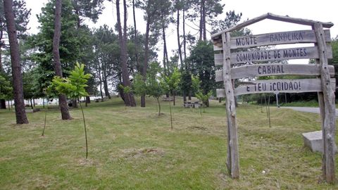 El Parque Bandeira (Cabral), donde encontraron a cuatro crías de gatos en un contenedor de basura, en imagen de archivo