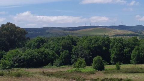Parque eólico de O Vieiro
