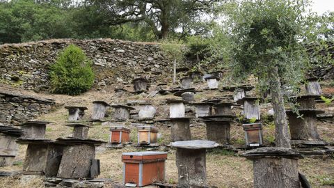 El interior de la alvariza
