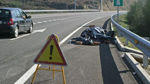 Un caballo muerto en la variante de Marín, tras ser arrollado por un vehículo