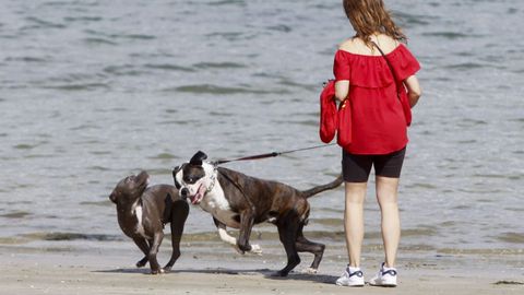 Playa canina de Ares.