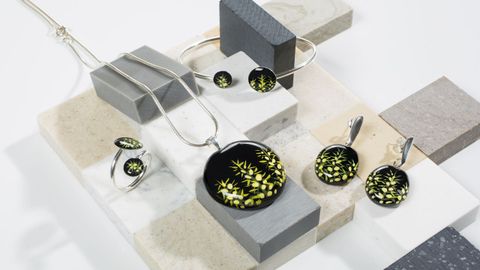 Colección Toxo