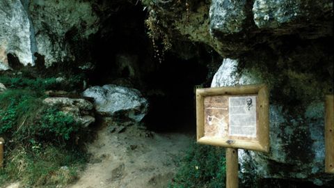 Cueva de El Buxu, en Cangas de Ons