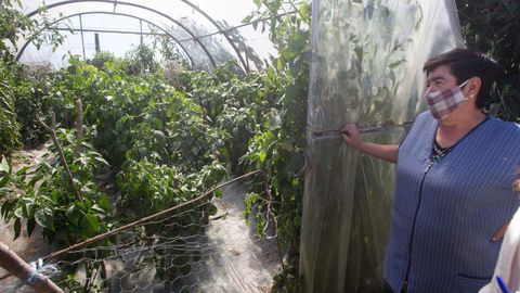 El único furancho de Lugo está en Portomarín y ofrece comida casera