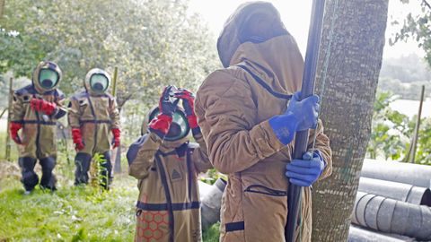 El técnico Miguel Rodríguez aplica el insecticida valiéndose de una pértiga para alcanzar los aproximadamente siete metros de altura a los que se encuentra el nido