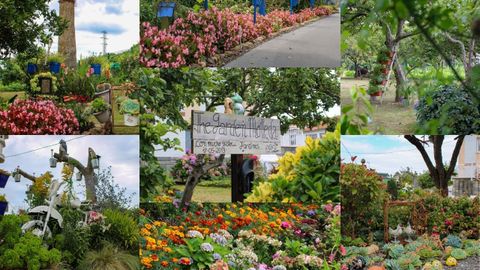 Compilacin de fotos de los jardines de Molleda