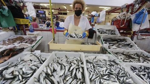 Sardinas y xoubas capturadas por «xeiteiros» en las Rías Baixas, en una pescadería de la plaza de Cambados, a mediados de junio