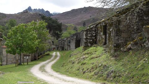 Calle principal de la aldea abandonada de O Salgueiro, en el Concello de Muíños, en Ourense
