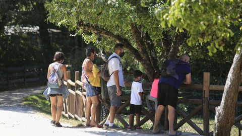 Las visitas a Marcelle se sitúan este verano en niveles similares a los de antes de la pandemia