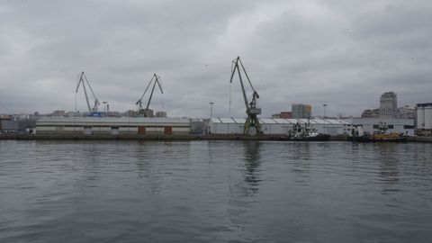 El muelle de Calvo Sotelo quedará liberado de actividad en el 2022