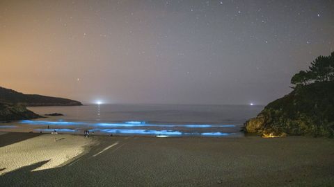 El mar de ardora en Rebordelo (Cabana) ha atraído a numerosas personas (y coches) estos días