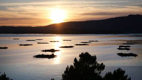 Bateas de la ría de Arousa, desde A Illa.