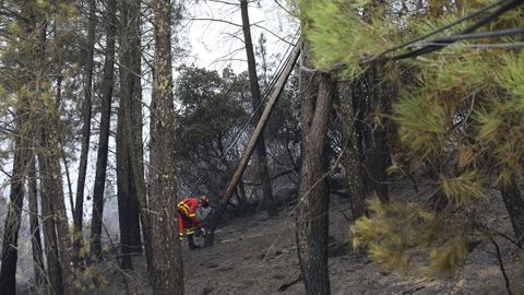 Reparación de una línea eléctrica dañada por el incendio en el municipio de Quiroga, en una imagen tomada ayer