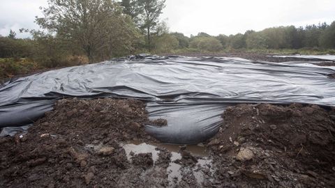 Imagen de una de las parcelas, cuyo olor se percibe a kilómetros de distancia