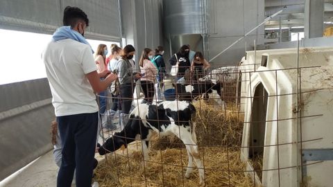 Los alumnos de Veterinaria en la Granxa Experimental