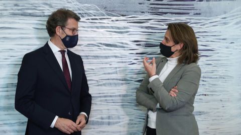 Núñez Feijoo y la vicepresidenta Teresa Ribera tras una reunión en Madrid el pasado mes de febrero