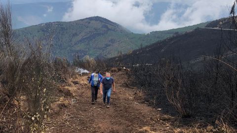 Técnicos del Centro de Investigación Forestal de Lourizán evaluaron sobre el terreno los daños causados por el incendio