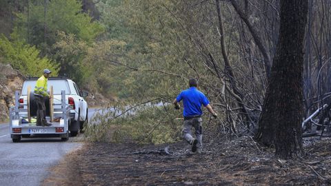 Tareas de reparación de líneas eléctricas dañadas en Quiroga el pasado miércoles