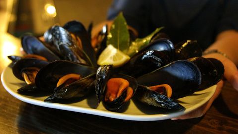 Los mejillones son otros de los principales «cultivos» de las Rías Baixas.