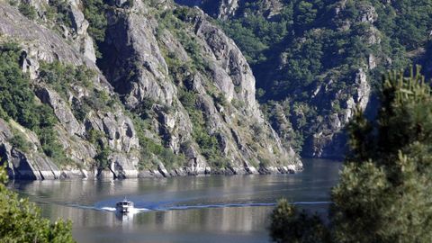 Un catamarán navega por el río Sil.