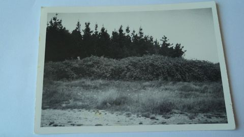 Imaxe do sitio orixinal, onde estivo o círculo lítico