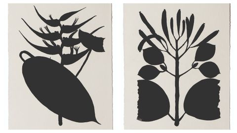 Dos de las piezas de la serie de 42 «Leyenda negra», para la que Pilar Millán se inspiró en los dibujos botánicos de Mutis.