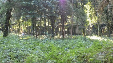 El lazareto, entre los árboles
