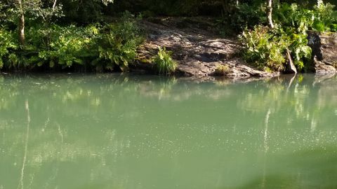 El agua presentaba este color en algún tramo hace unos días