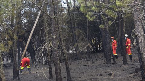 Trabajos de reparación de una línea eléctrica dañada por el fuego en el municipio de Quiroga, el pasado día 7