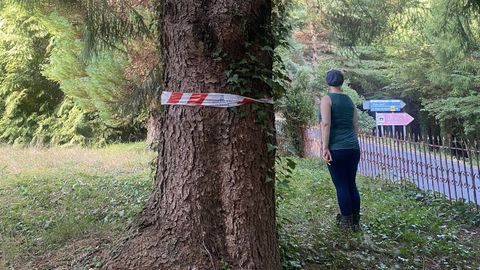 Denuncia que la Diputación de Ourense invade su finca en Esgos para ampliar carretera a San Pedro de Rocas