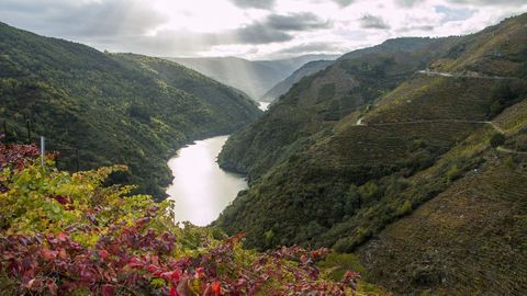 Una vista del cañón del Sil en la zona de Doade, en Sober, con la orilla ourensana a la izquierda.